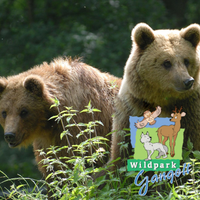 Wildpark Gangelt - 6 km